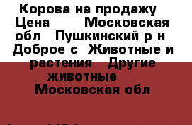 Корова на продажу › Цена ­ 1 - Московская обл., Пушкинский р-н, Доброе с. Животные и растения » Другие животные   . Московская обл.